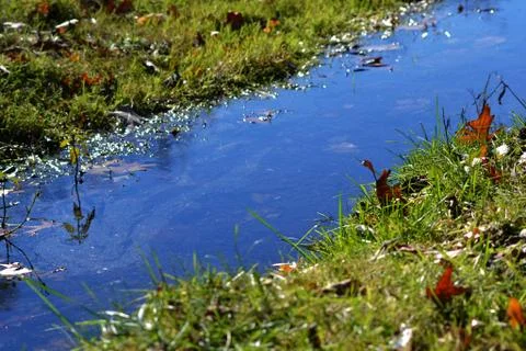 Polluted Stream Stock Photos