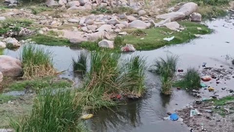 Polluted Stream With Vegetation Islands and Plastic Waste 库存影片 330325109