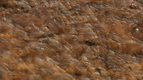 Polluted stream yellow P HD 3026 Stock Footage 531248