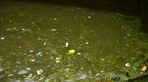 Polluted Thames Water Stock Footage 41549352