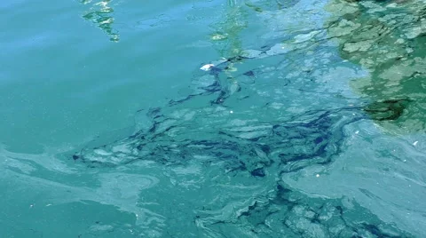 Polluted turquoise water background Vídeos de archivo 62398724