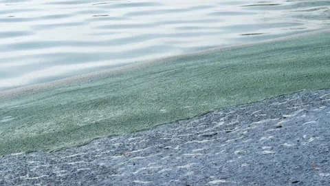 Polluted water 01 Stock Footage 158484499