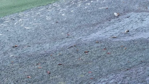 Polluted water 02 Stock Footage 158484565