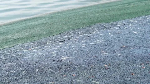 Polluted water 04 Stock Footage 158484857