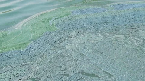 Polluted water 05 Stock Footage 158484848