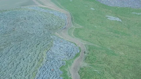 Polluted water 06 Stock Footage 158484369