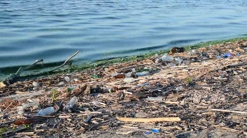 Polluted water and trash on a beach Stock Footage 69251906