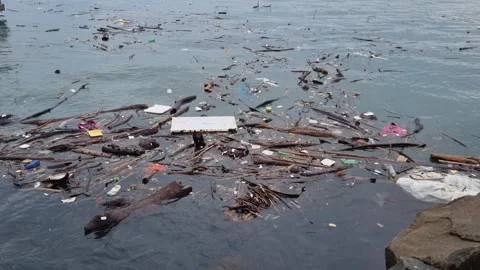 Polluted water and waste float in Panama Bay. Stock Footage 341899425