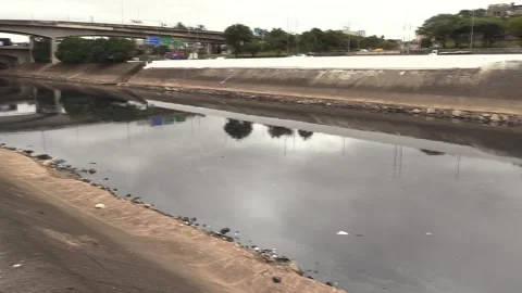 Polluted Water in the Cabucu de Cima and Tiete River in Sao Paulo, Brazil Vidéo 247506834