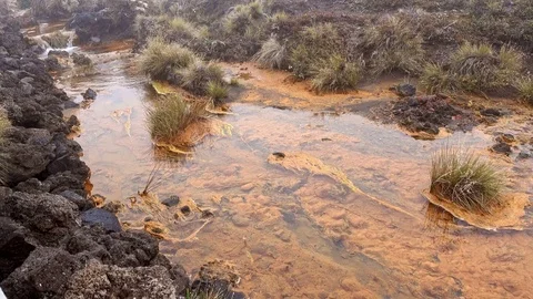 Polluted water with dirty foam Stock Footage 78714201