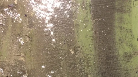 Polluted water downstream Video stock 77845425