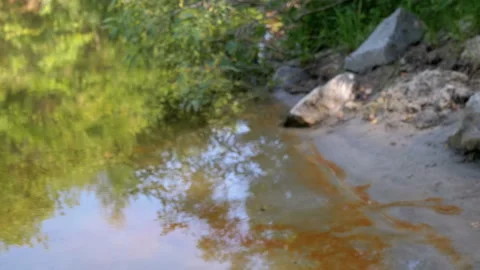 Polluted Water, Environmental Issues Video stock 293261934