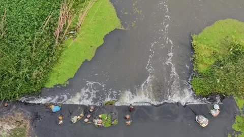 Polluted water flowing with green algae and floating waste Stock Footage 327982275