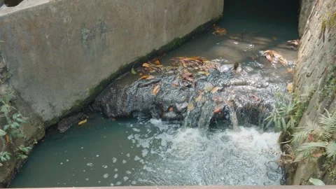 Polluted water flowing through a concrete drainage channel with floating debris  Video stock 343413399
