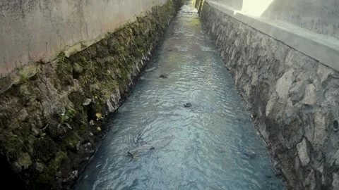 Polluted Water Flowing Through Stone Channel With Mossy Walls And Gray Murk.. Stock Footage 340452951