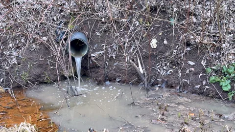 Polluted water flows from a drain pipe into a nearby stream, causing severe Vídeos de archivo 322757352