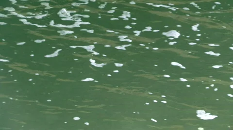 Polluted Water Vidéo 280554