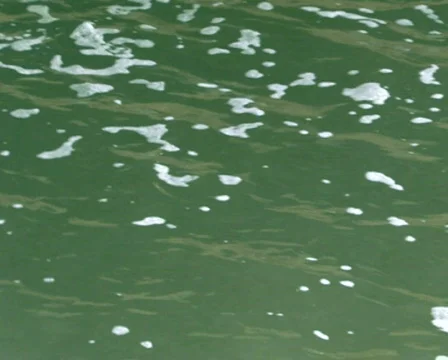 Polluted Water Stock-Footage 284736