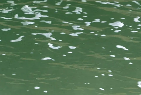 Polluted Water Stock Footage 285102