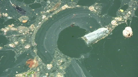 Polluted Water Stockbeeldmateriaal 776547