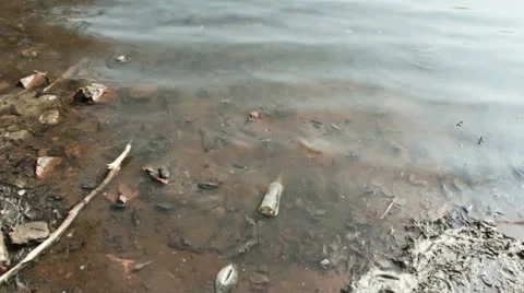 Polluted water Stock Footage 10887021