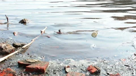 Polluted water Stock Footage 10887025