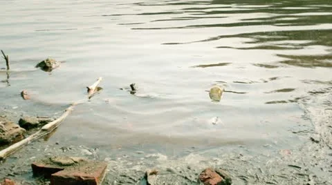 Polluted water Video stock 10887027