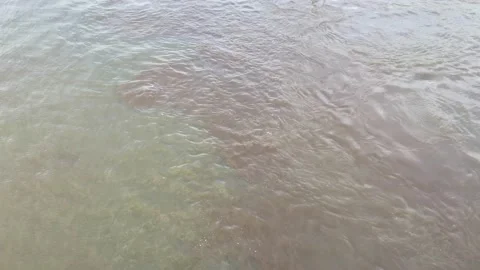Polluted Water Stock Footage 194468837