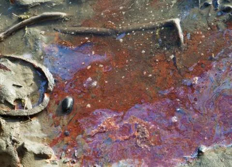 Polluted water Stock Photos