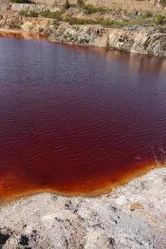 Polluted water Stock Photos