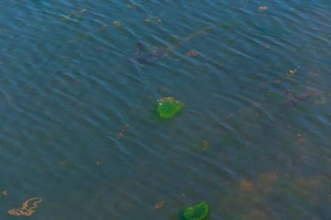 Polluted water Stock Photos