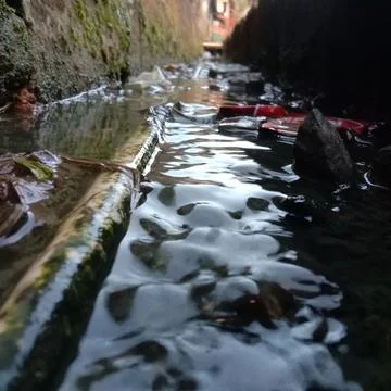 Polluted water Stock Photos