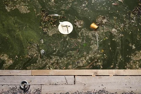 Polluted water Stock Photos