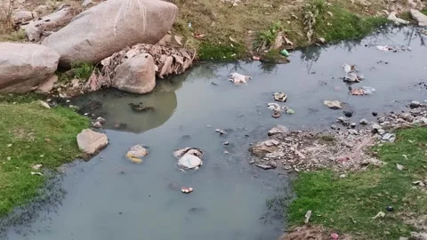 Polluted Water Stream With Plastic Waste and Garbage Vídeos de archivo 330278996