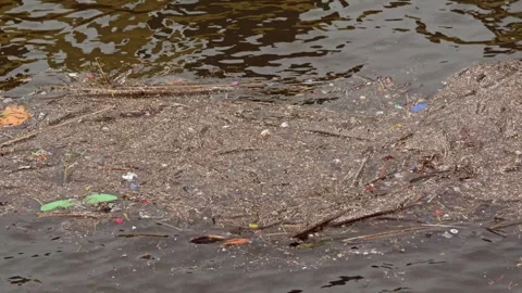 Polluted Water Surface with Floating Garbage and Organic Debris 库存影片 297677848