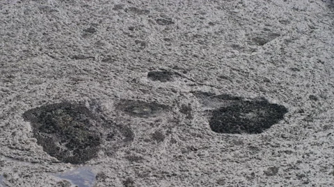 Polluted water swirling Stock Footage 131482409