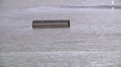 Polluted water zoomout Stock-Footage 30981447