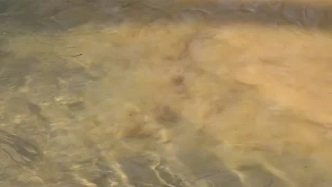 Polluted wather Stock Footage 150025781
