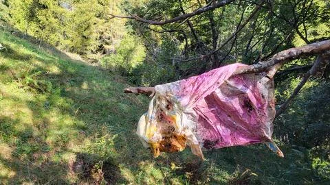 A polluting balloon Foto stock