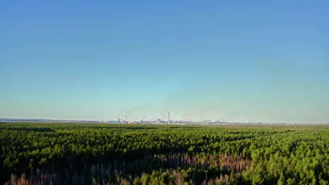 A polluting factory against the backdrop of a green forest. Aerial Drone Shot. Stock Footage 257779236