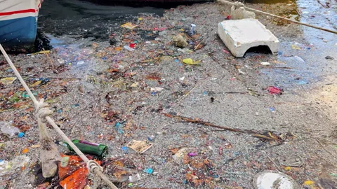 Polluting Garbage on the Sea at the Harbor Beach Stockbeeldmateriaal 221721944