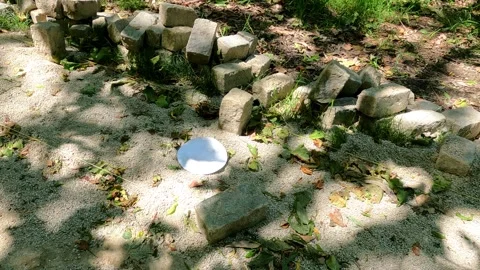 Polluting Nature The Blight of Forest Trash Stock Footage 277408561