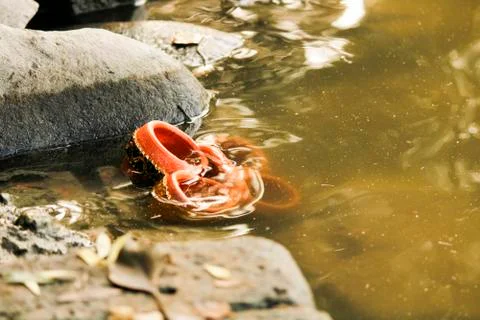 Polluting river by floating lamps Stock Photos