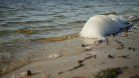 Spume / sea foam / ocean foam / beach foam formed during stormy