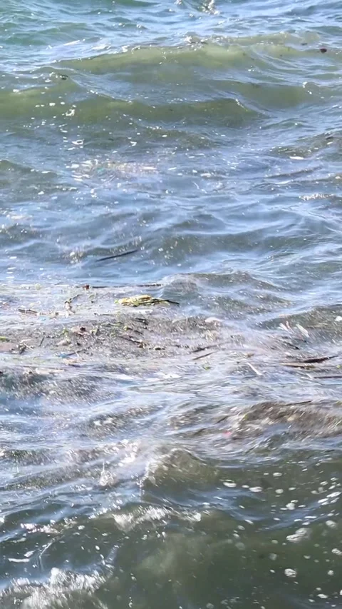 Pollution on Aegean Sea with Waves in Slow Motion (Vertical Video) Stock Footage 323940456