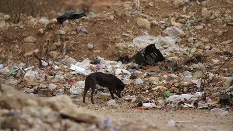 Pollution in africa Stockbeeldmateriaal 347655321