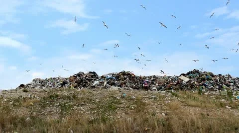 Pollution and landfill Video stock 12234969