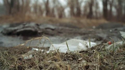 Pollution apparent in nature scene. Environmental degradation evident through Video stock 342745455