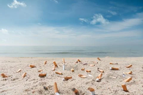 Pollution on the beach due to cigarettes Stock Photos