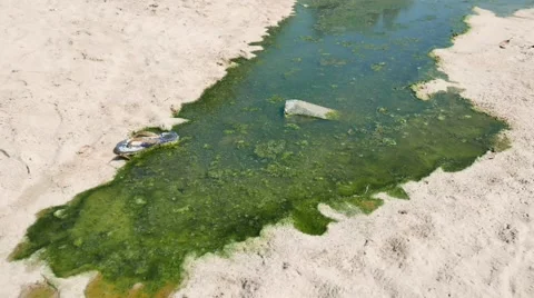 Pollution at the beach Stock Footage 50376079